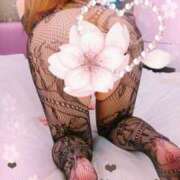 ヒメ日記 2026/03/19 10:47 投稿 かすみ 上野デリヘル倶楽部