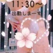 ヒメ日記 2026/05/19 10:58 投稿 かすみ 上野デリヘル倶楽部