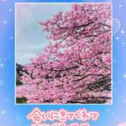 ヒメ日記 2024/02/29 20:42 投稿 さゆり 上野デリヘル倶楽部