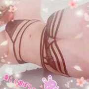 ヒメ日記 2026/01/31 03:03 投稿 らら 奴隷コレクション梅田店