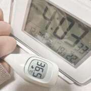 ヒメ日記 2024/12/27 16:11 投稿 まな MIKADO