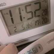 ヒメ日記 2025/02/05 12:51 投稿 まな MIKADO