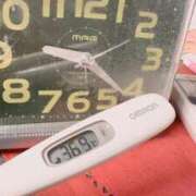 ヒメ日記 2025/03/14 09:41 投稿 まな MIKADO