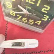 ヒメ日記 2025/04/10 09:56 投稿 まな MIKADO