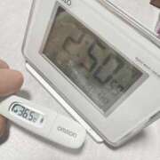 ヒメ日記 2025/04/13 15:21 投稿 まな MIKADO