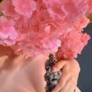 ヒメ日記 2025/07/11 16:51 投稿 まな MIKADO