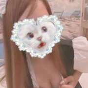 ヒメ日記 2025/10/18 15:21 投稿 まな MIKADO