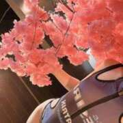 ヒメ日記 2025/11/06 17:01 投稿 まな MIKADO