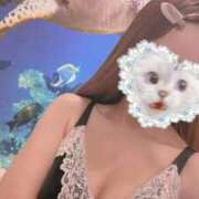 ヒメ日記 2026/04/06 10:02 投稿 まな MIKADO