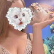 ヒメ日記 2026/04/10 18:02 投稿 まな MIKADO