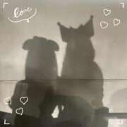 ヒメ日記 2026/02/10 19:03 投稿 ねね『ぽっちゃりコース』 素人学園＠