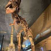 ヒメ日記 2025/07/06 20:20 投稿 りさ AVANCE福岡