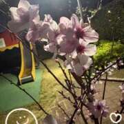 ヒメ日記 2026/03/19 13:04 投稿 葉月 十恋人～トレンド～