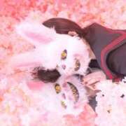 ヒメ日記 2025/03/25 16:02 投稿 ★寿しゅう★ CLUB39（クラブサンキュー）