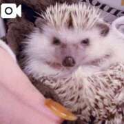 ヒメ日記 2025/05/10 00:22 投稿 ★寿しゅう★ CLUB39（クラブサンキュー）