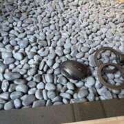 ヒメ日記 2025/08/09 06:52 投稿 ★寿しゅう★ CLUB39（クラブサンキュー）