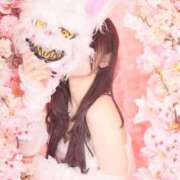 ヒメ日記 2026/04/06 06:12 投稿 ★寿しゅう★ CLUB39（クラブサンキュー）