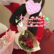 ヒメ日記 2024/12/24 23:57 投稿 みみ ぽちゃSPA