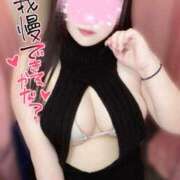 ヒメ日記 2025/04/06 12:06 投稿 みみ ぽちゃSPA