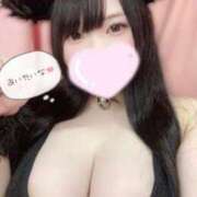 ヒメ日記 2025/07/27 10:48 投稿 みみ ぽちゃSPA