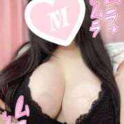 ヒメ日記 2025/11/29 14:12 投稿 みみ ぽちゃSPA