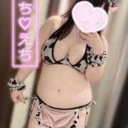 ヒメ日記 2025/12/26 16:35 投稿 みみ ぽちゃSPA