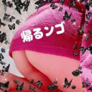 つきひ 今日もありがとうございました❣️ カワサキ EROTIC