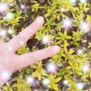 ヒメ日記 2026/03/24 17:28 投稿 つきひ カワサキ EROTIC