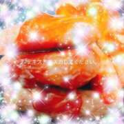 ヒメ日記 2026/04/03 00:15 投稿 つきひ カワサキ EROTIC