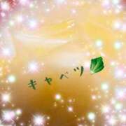 ヒメ日記 2026/04/07 18:55 投稿 つきひ カワサキ EROTIC