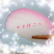 ヒメ日記 2026/04/11 23:52 投稿 つきひ カワサキ EROTIC