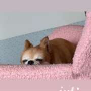 ヒメ日記 2025/10/06 23:01 投稿 みりあ 厚木人妻城