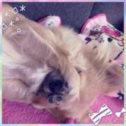 ヒメ日記 2025/10/30 09:35 投稿 みりあ 厚木人妻城