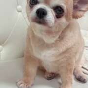 ヒメ日記 2025/11/13 08:04 投稿 みりあ 厚木人妻城