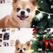 みりあ 今年も🩷 厚木人妻城