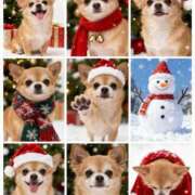 ヒメ日記 2025/12/15 12:01 投稿 みりあ 厚木人妻城