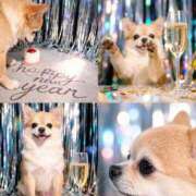 ヒメ日記 2026/01/03 00:34 投稿 みりあ 厚木人妻城