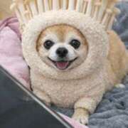 ヒメ日記 2026/01/22 06:08 投稿 みりあ 厚木人妻城