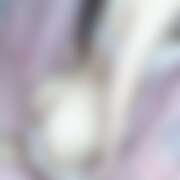 ヒメ日記 2025/11/19 12:16 投稿 かんな チアガール