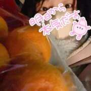 ヒメ日記 2024/12/14 19:24 投稿 れの 京都出張メンズエステChou Chou（シュシュ)