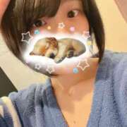 ヒメ日記 2024/12/29 23:30 投稿 れの 京都出張メンズエステChou Chou（シュシュ)