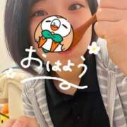 ヒメ日記 2025/01/12 08:40 投稿 れの 京都出張メンズエステChou Chou（シュシュ)