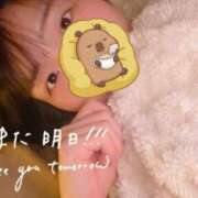 ヒメ日記 2025/04/05 21:40 投稿 れの 京都出張メンズエステChou Chou（シュシュ)