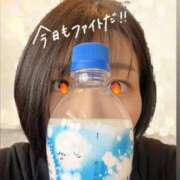 ヒメ日記 2025/04/06 10:20 投稿 れの 京都出張メンズエステChou Chou（シュシュ)