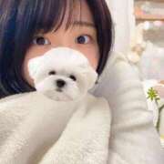 ヒメ日記 2025/04/14 12:20 投稿 れの 京都出張メンズエステChou Chou（シュシュ)