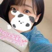 ヒメ日記 2025/04/15 09:20 投稿 れの 京都出張メンズエステChou Chou（シュシュ)