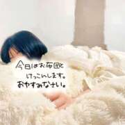 ヒメ日記 2025/04/17 12:59 投稿 れの 京都出張メンズエステChou Chou（シュシュ)