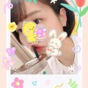 ヒメ日記 2025/04/20 09:50 投稿 れの 京都出張メンズエステChou Chou（シュシュ)