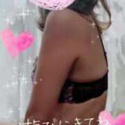 ヒメ日記 2025/09/10 08:29 投稿 なのは マダム可憐