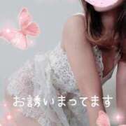 ヒメ日記 2026/02/04 09:30 投稿 なのは マダム可憐